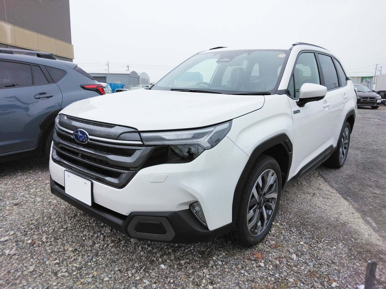 新型フォレスター試乗車登場!ご試乗受付中!!