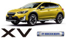 XV